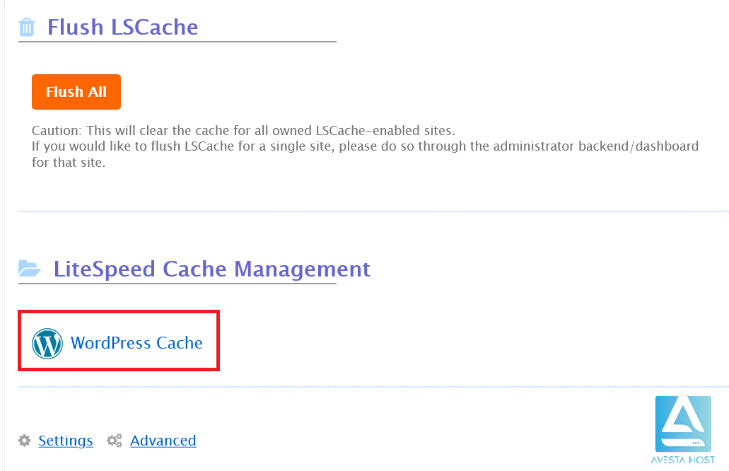 WordPress Cache
